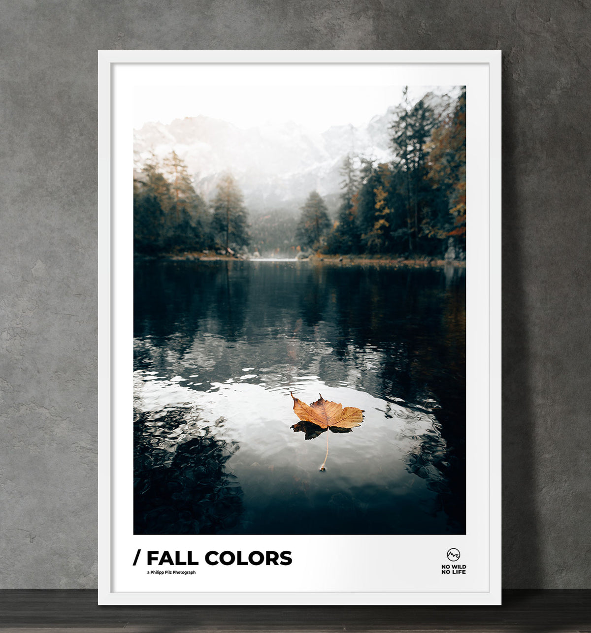 Fall Colors