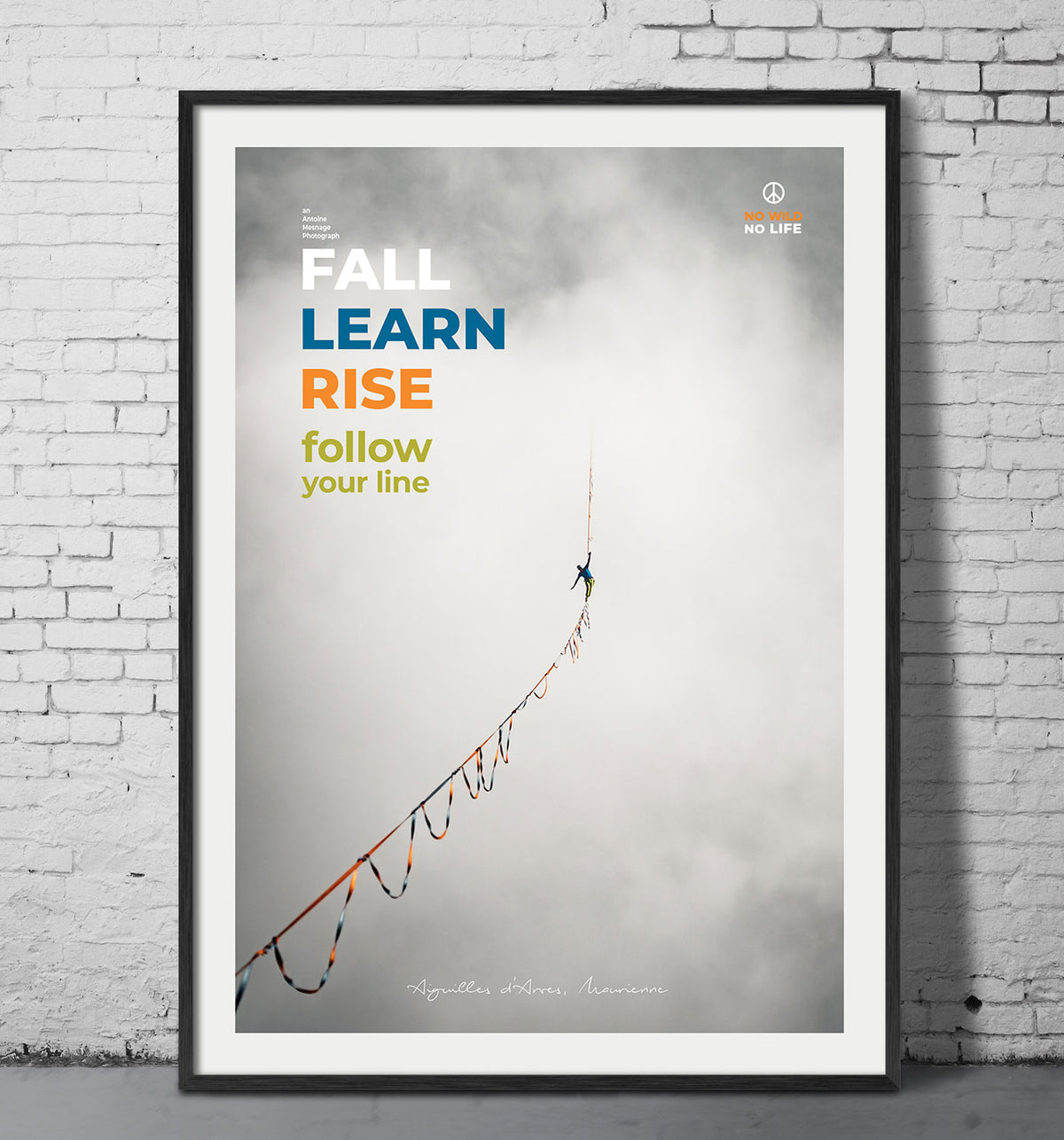 Fall, Learn, Rise