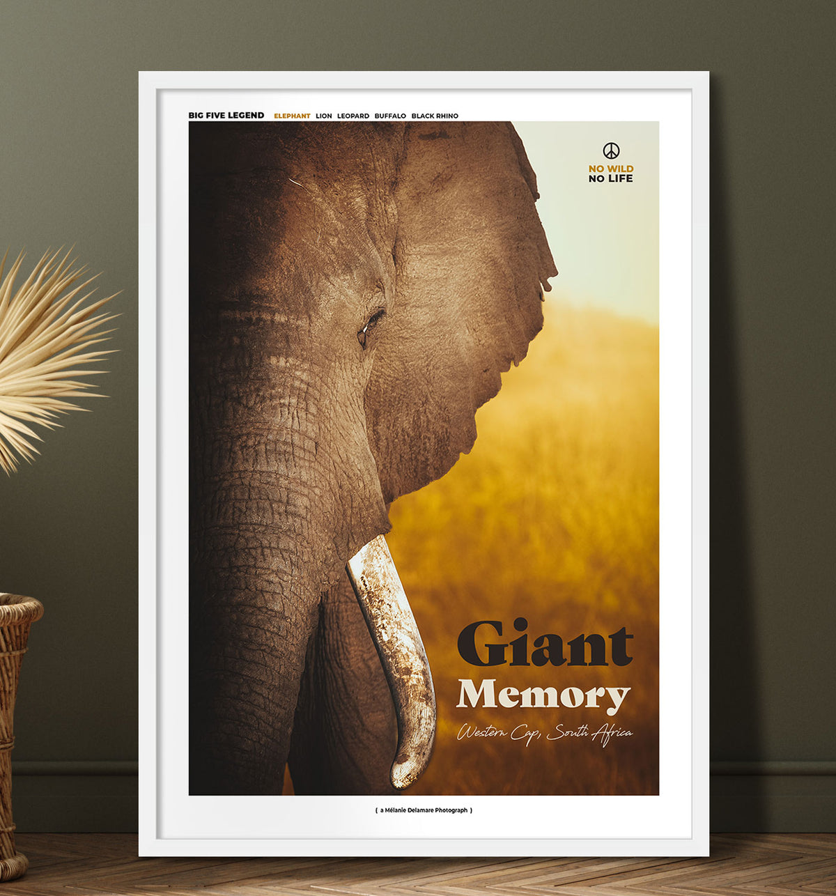 Giant Memory