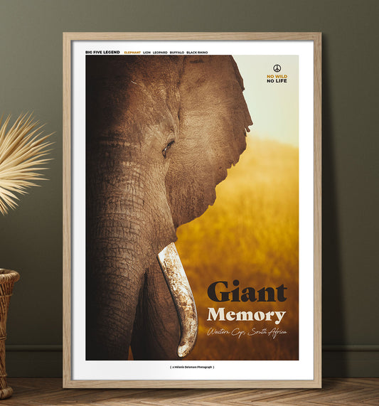 Giant Memory