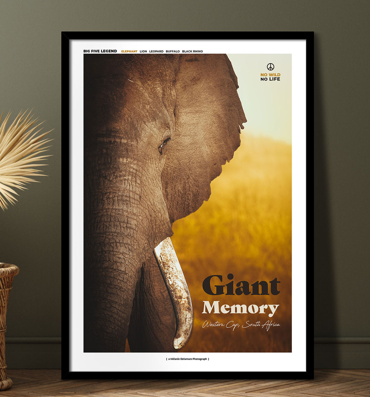 Giant Memory