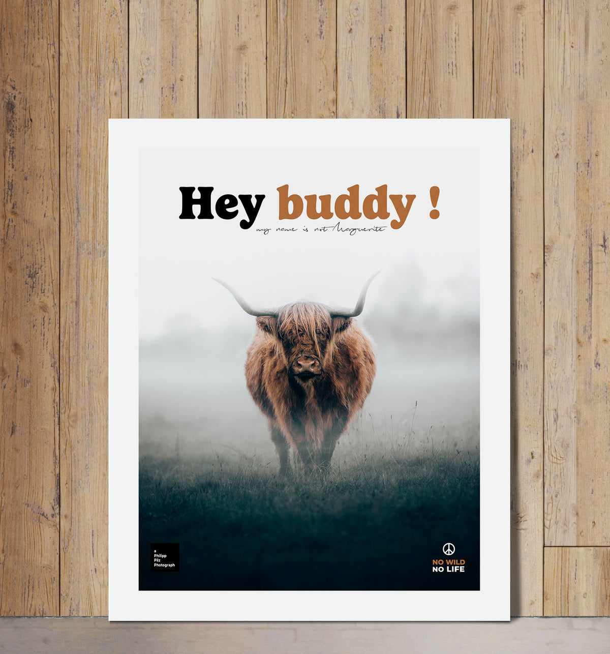 Hey Buddy !