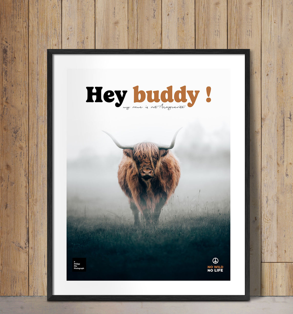 Hey Buddy !