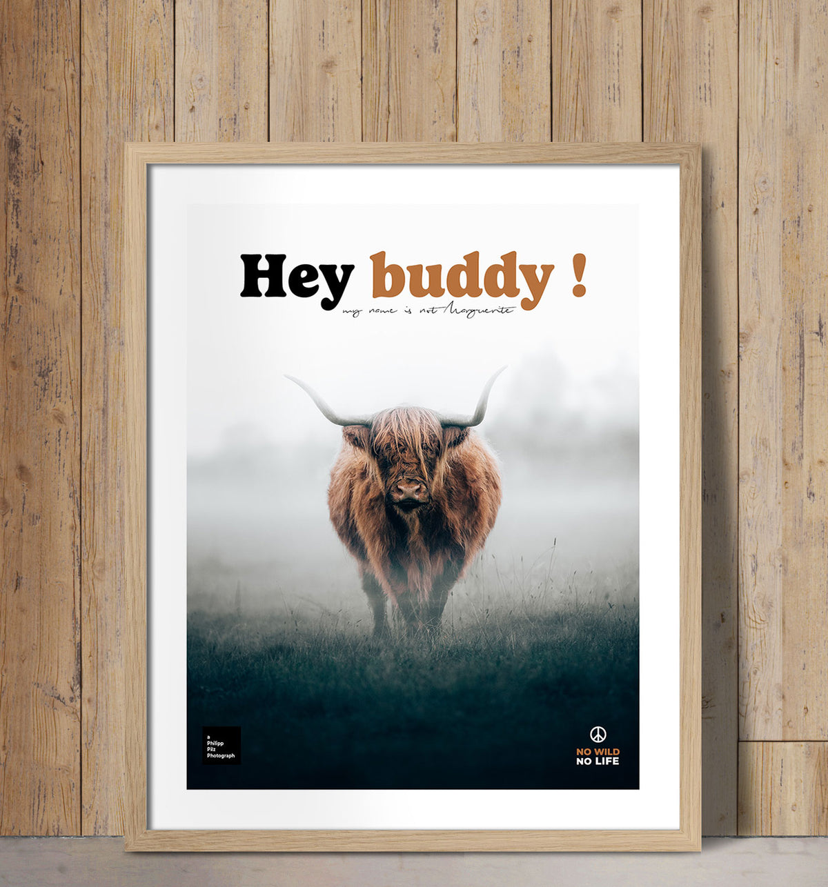 Hey Buddy !