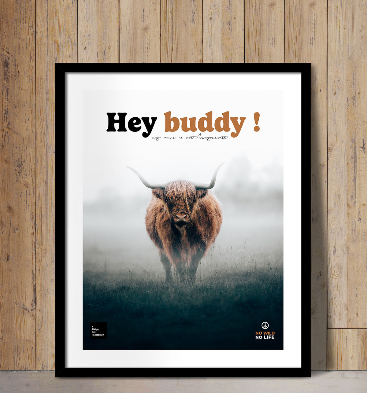 Hey Buddy !