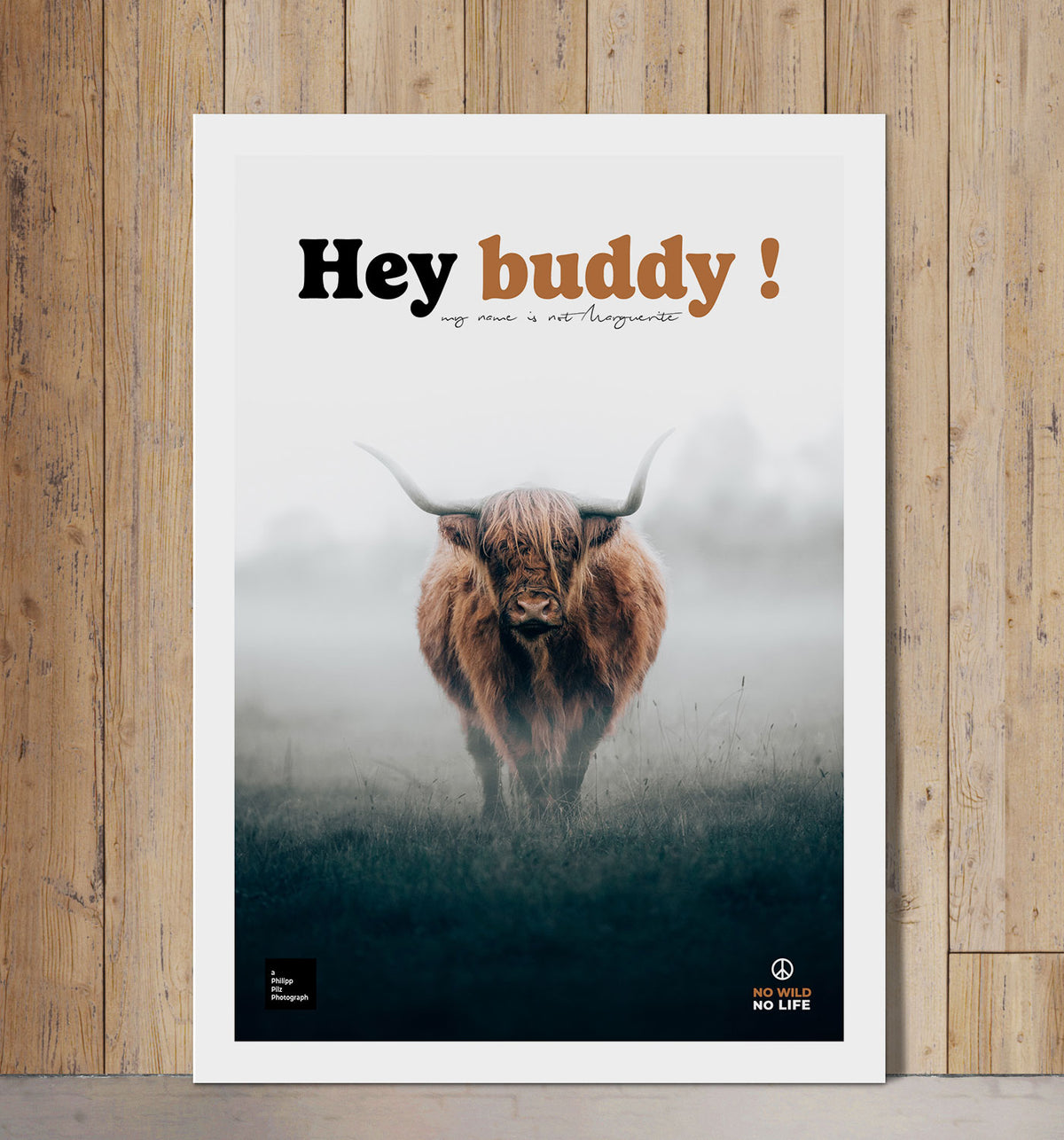 Hey Buddy !