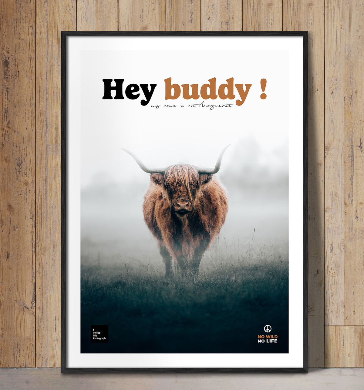 Hey Buddy !