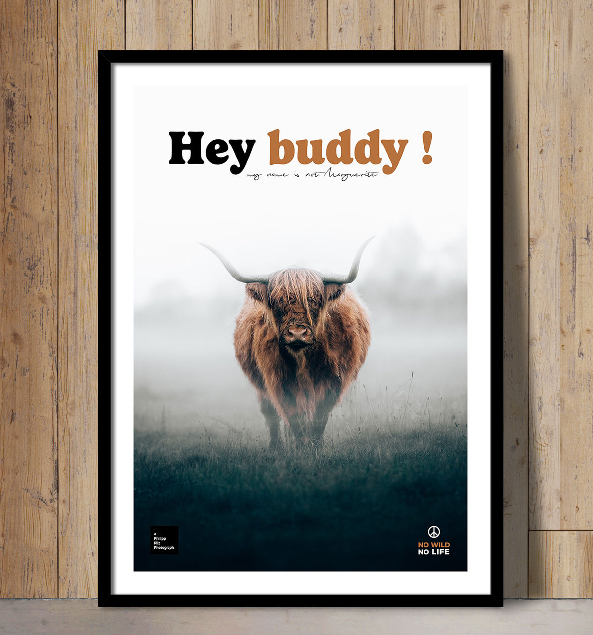 Hey Buddy !