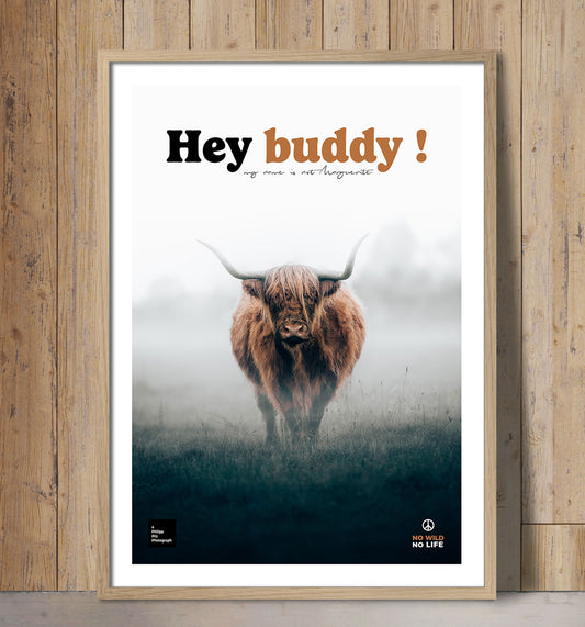 Hey Buddy !