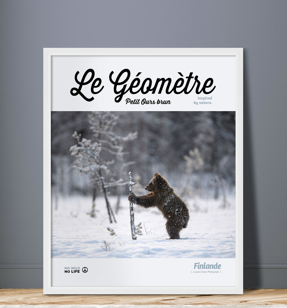 Le Géomètre