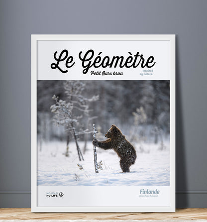 Le Géomètre