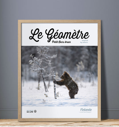 Le Géomètre