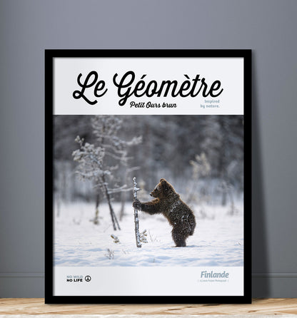 Le Géomètre