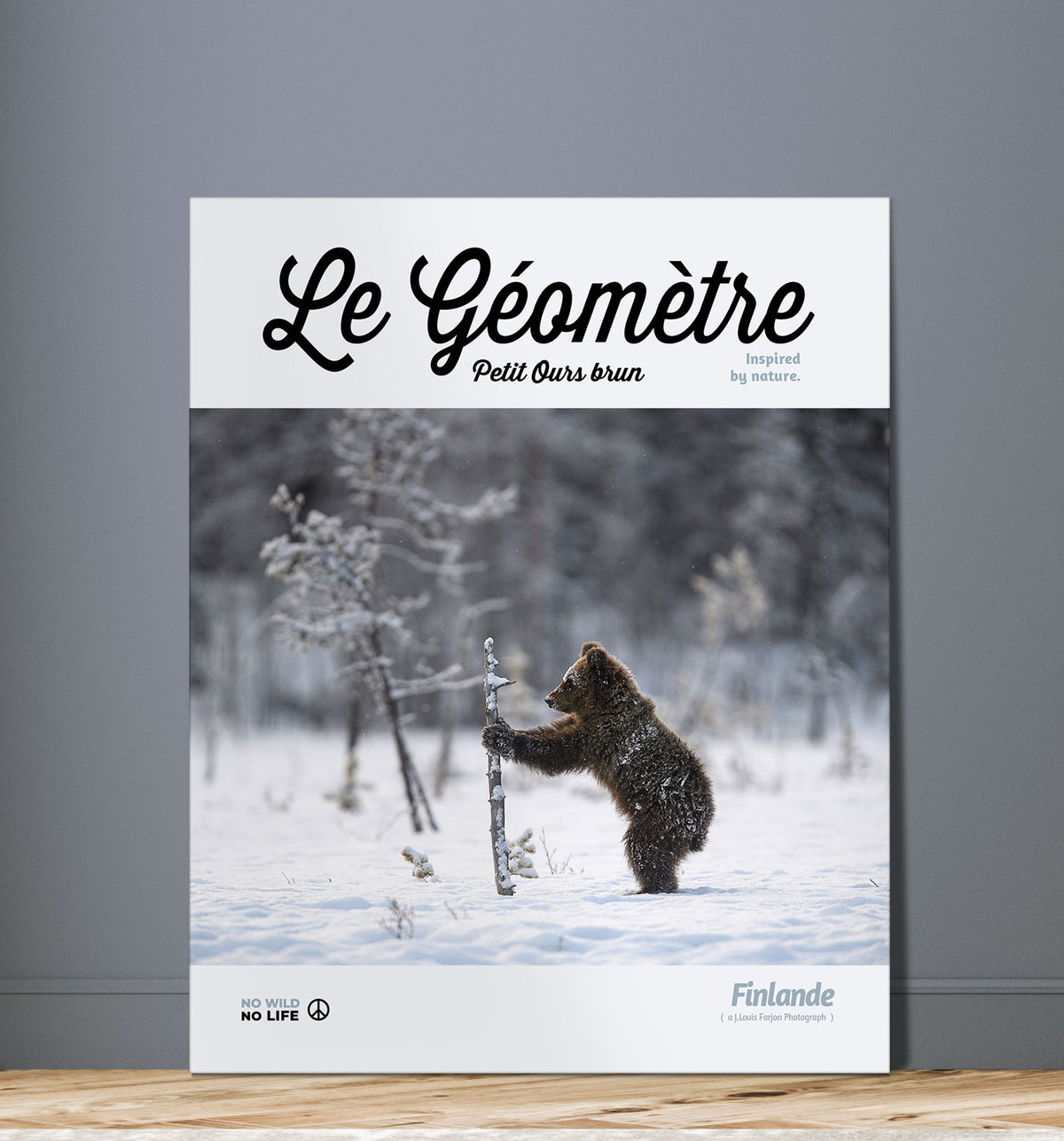 Le Géomètre