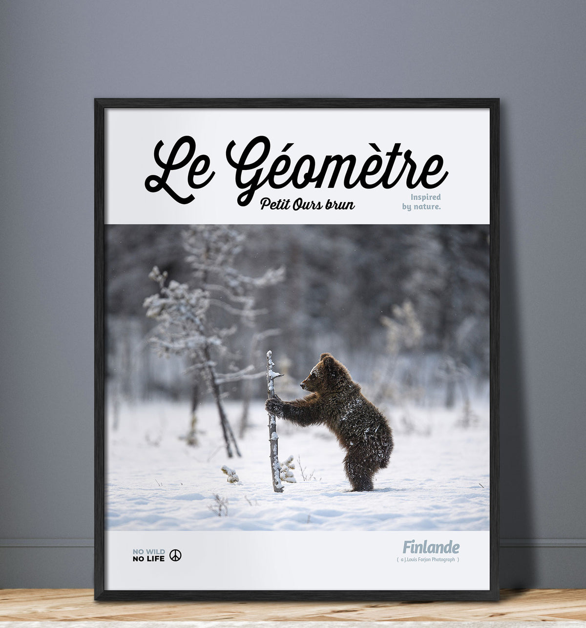 Le Géomètre