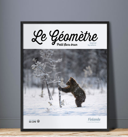 Le Géomètre