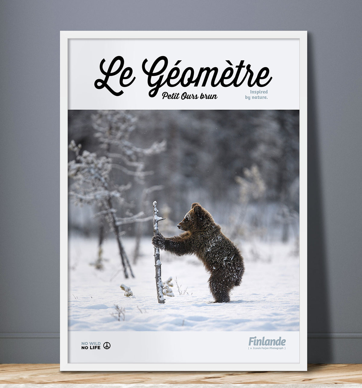 Le Géomètre
