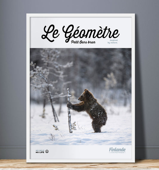 Le Géomètre