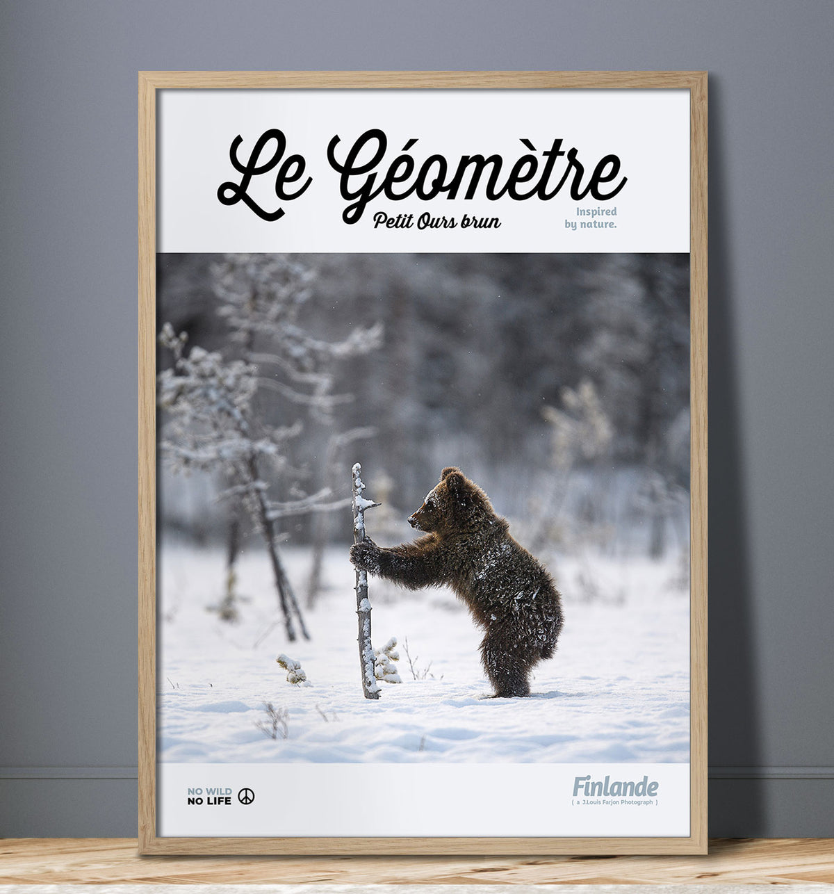 Le Géomètre