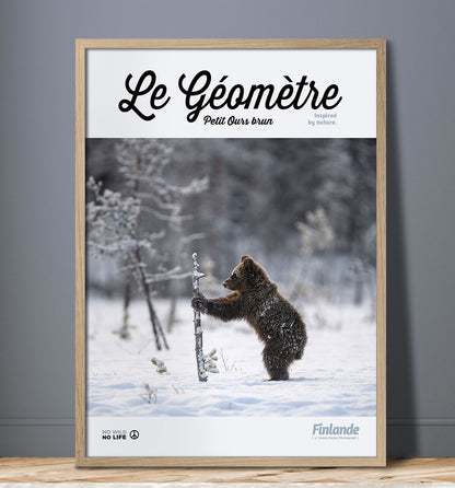 Le Géomètre
