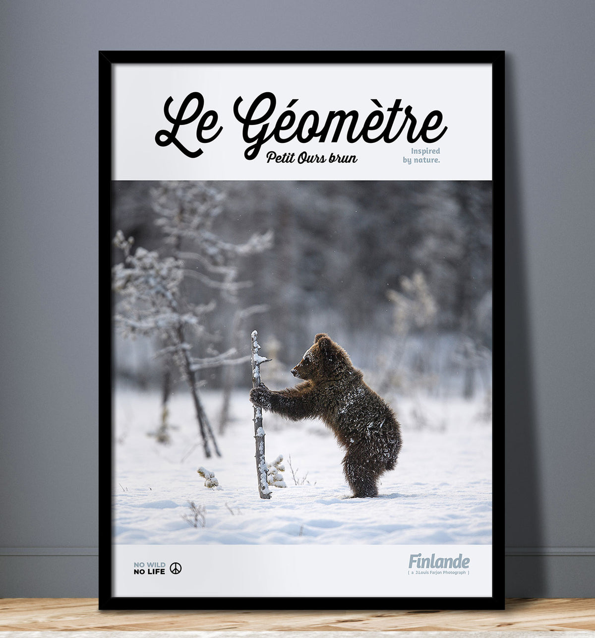 Le Géomètre