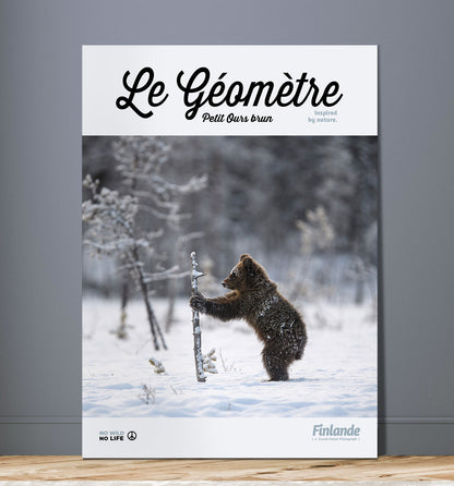 Le Géomètre