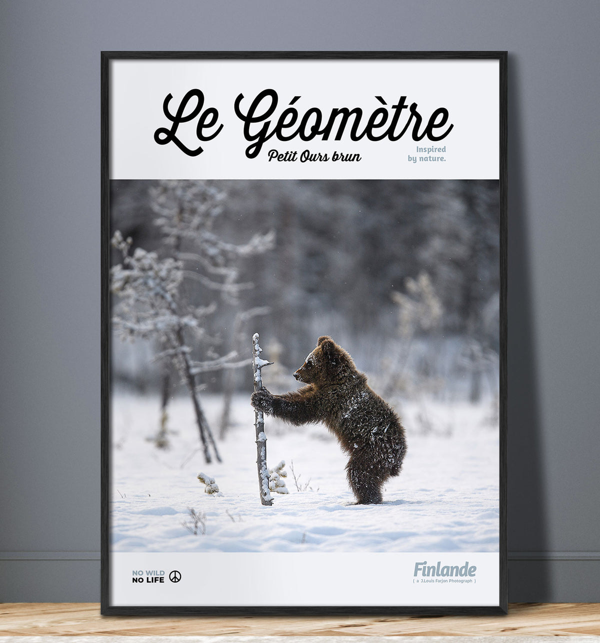 Le Géomètre