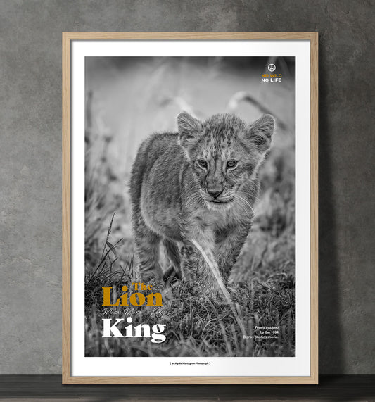Lion King