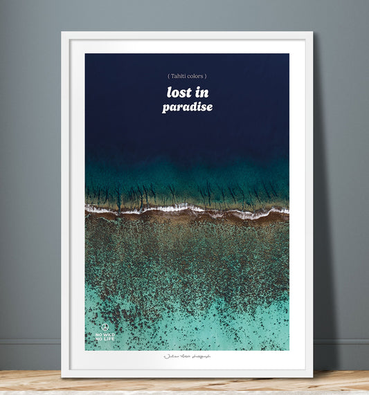 Lost in Paradise I