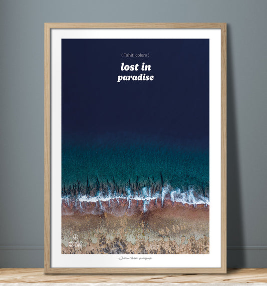 Lost in Paradise III