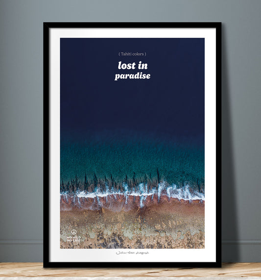 Lost in Paradise III