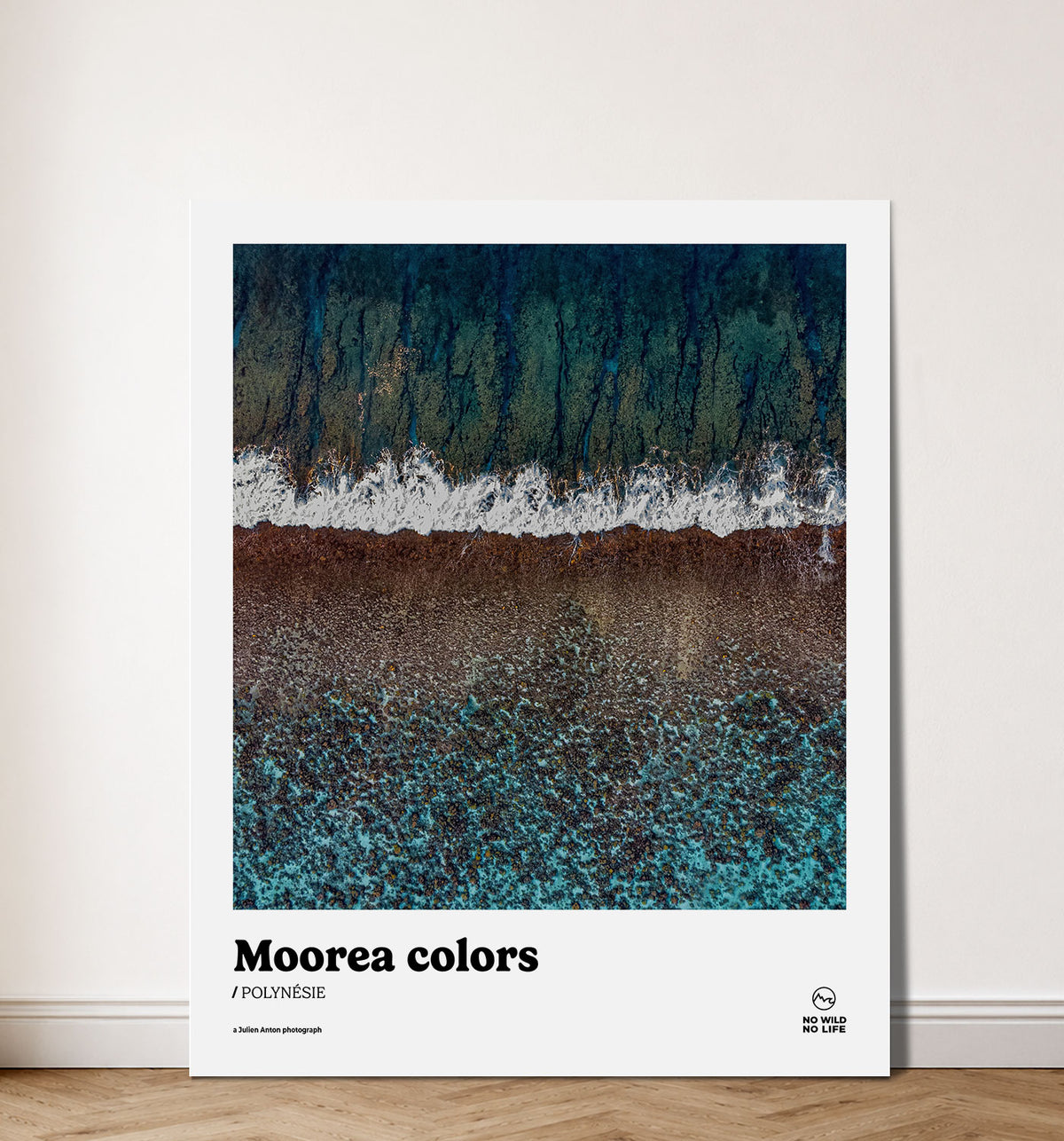 Moorea colors