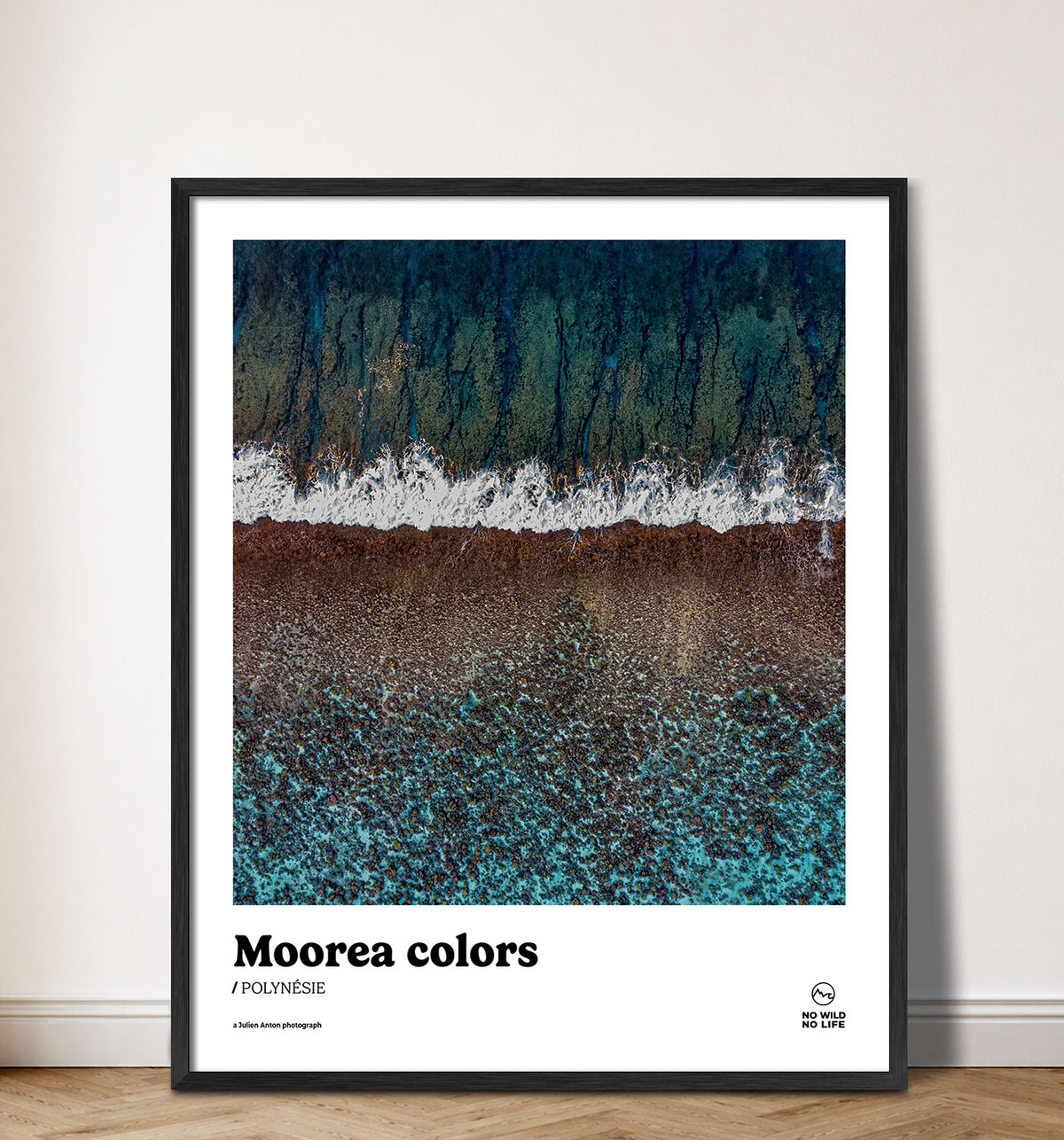 Moorea colors