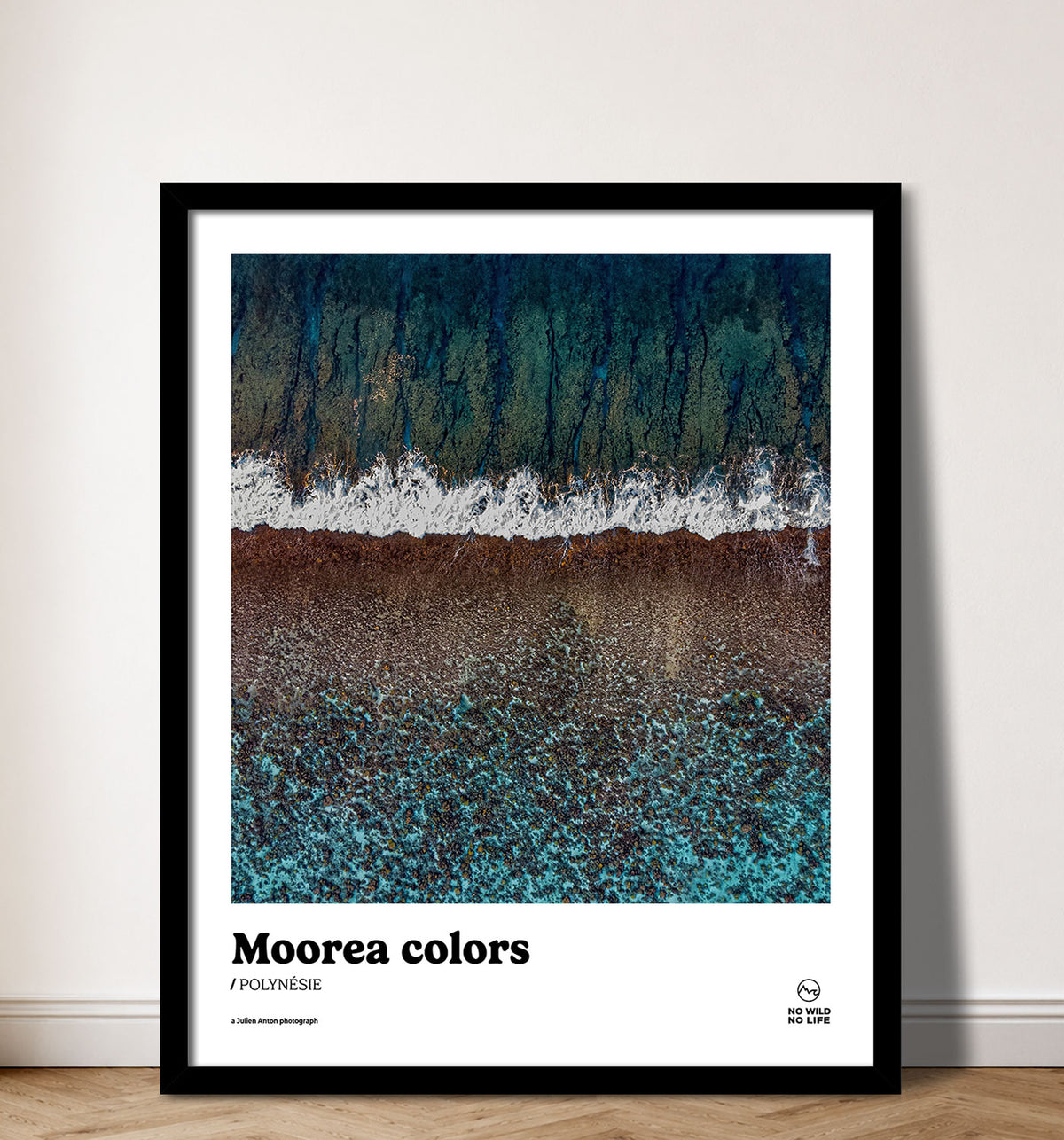 Moorea colors