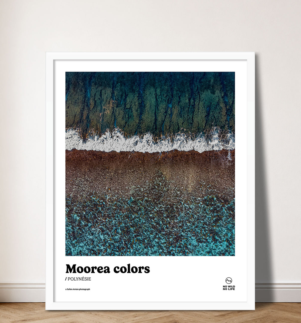Moorea colors