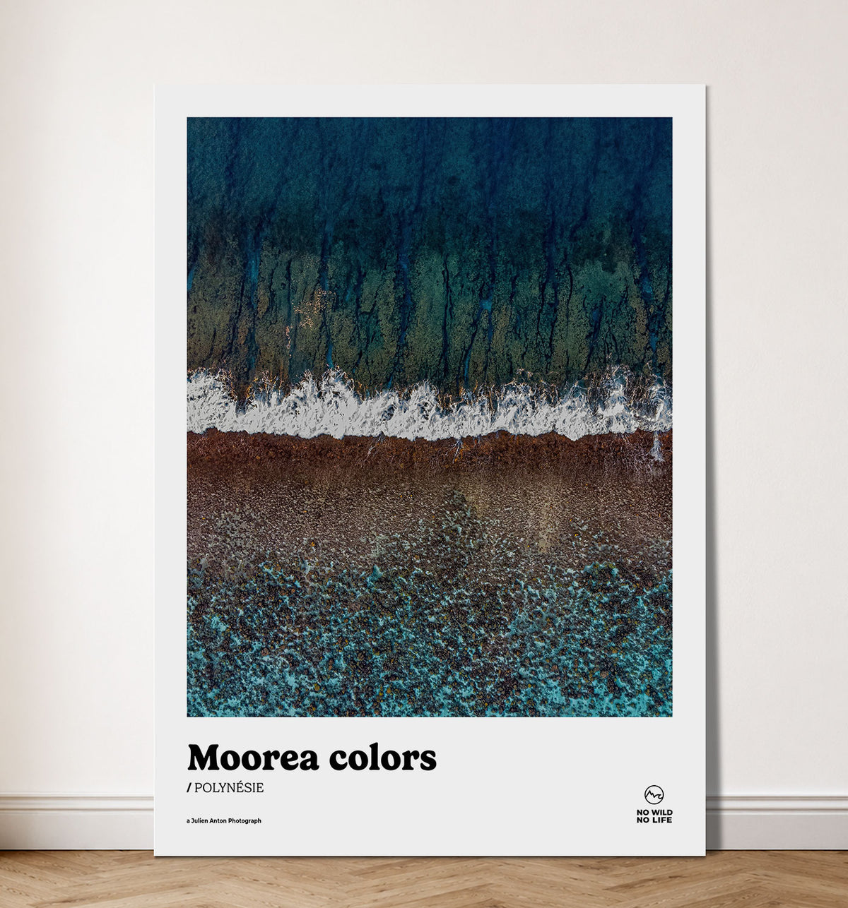 Moorea colors