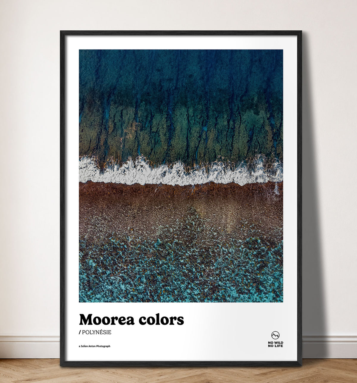 Moorea colors