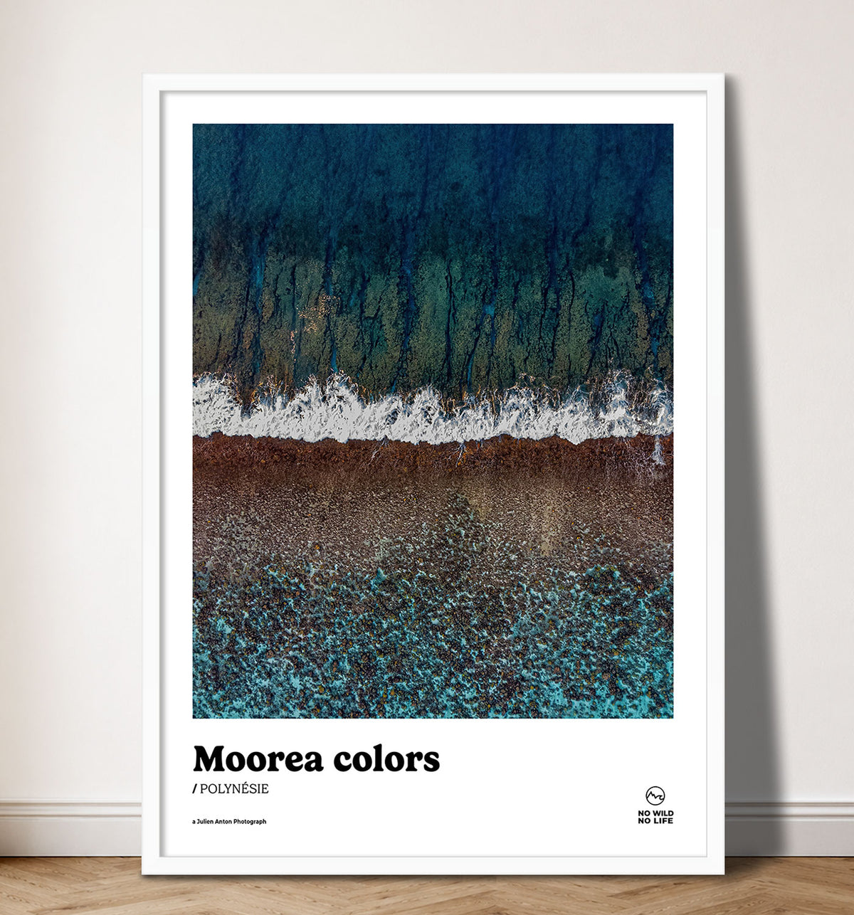 Moorea colors
