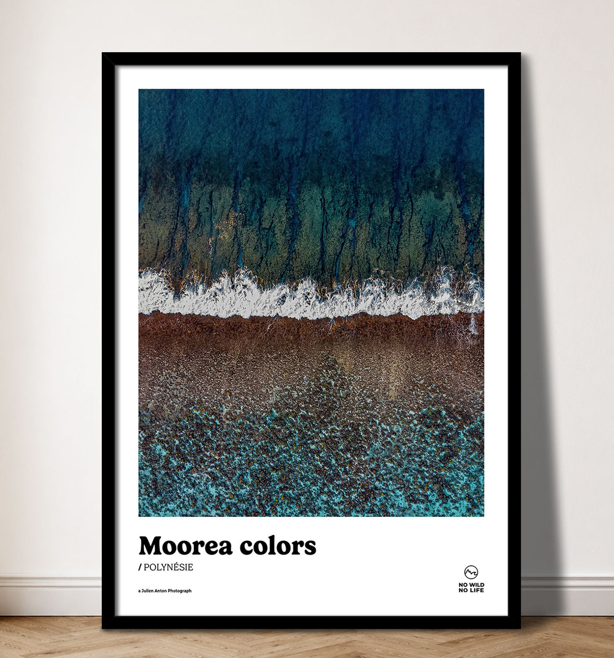 Moorea colors