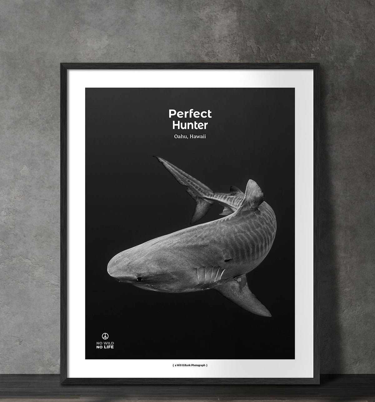 Perfect Hunter