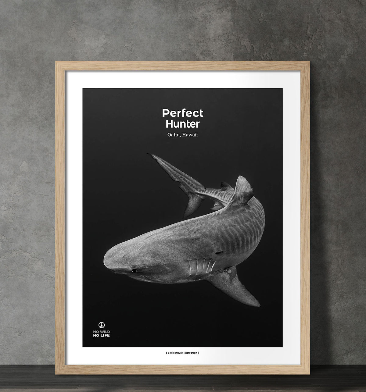 Perfect Hunter