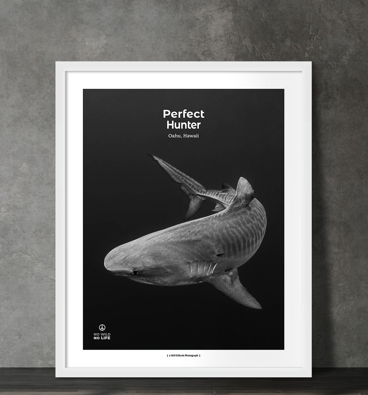 Perfect Hunter