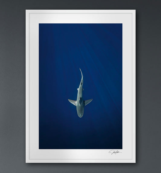 ambiance-no-gallery