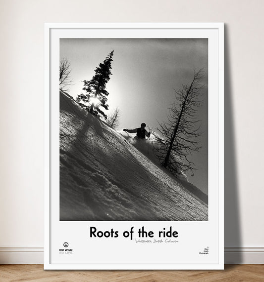Roots of the ride VI