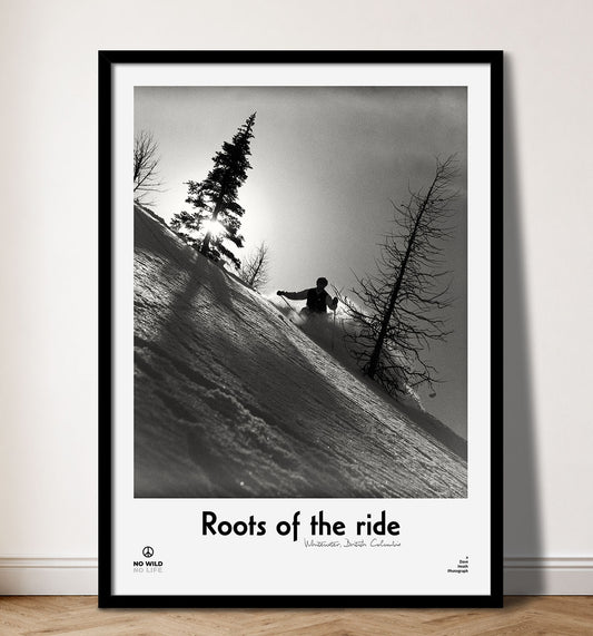Roots of the ride VI