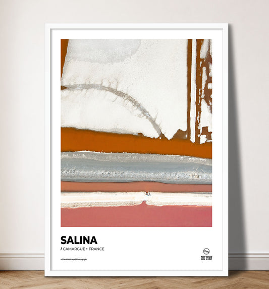 Salina