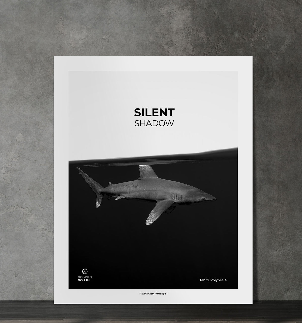 Silent shadow