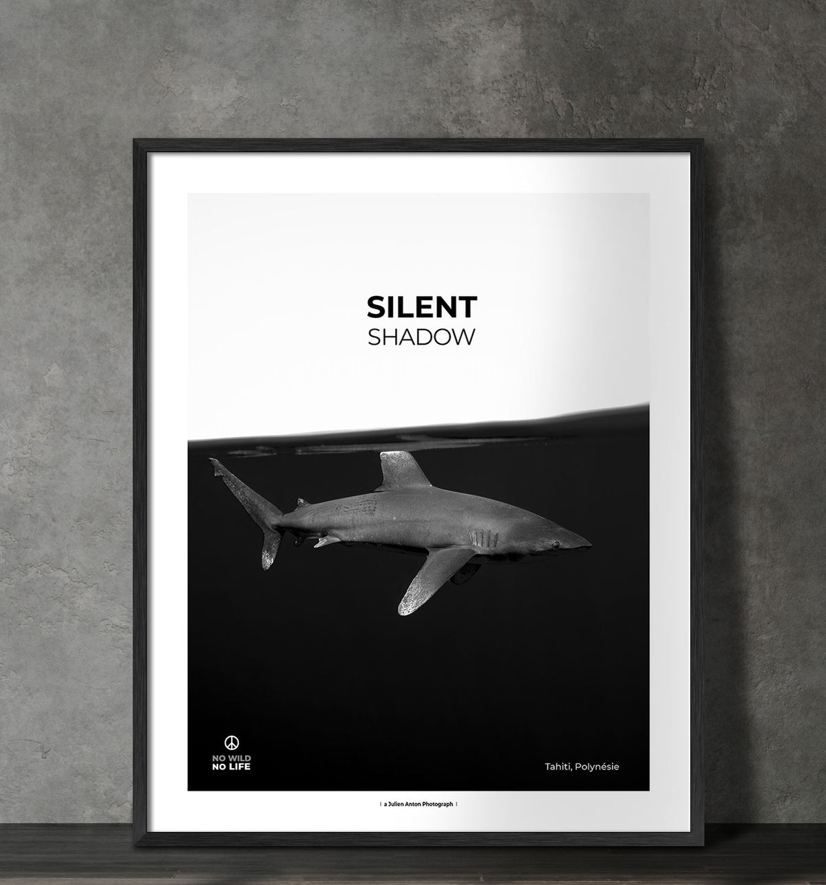 Silent shadow