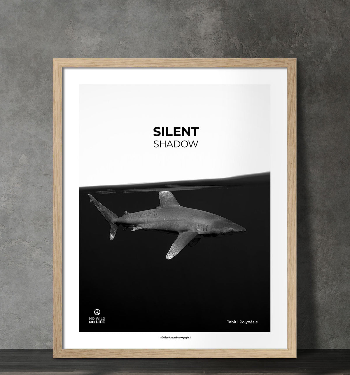 Silent shadow