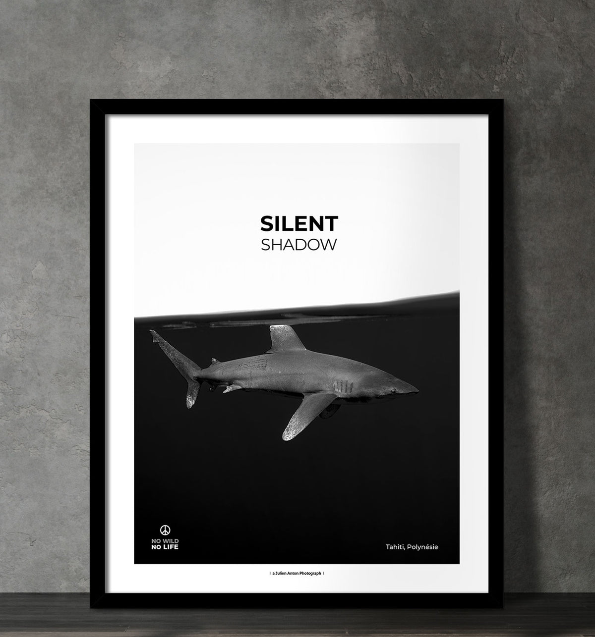 Silent shadow